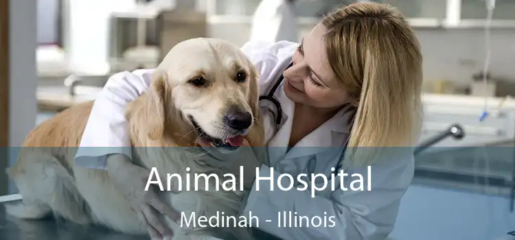 Animal Hospital Medinah - Illinois