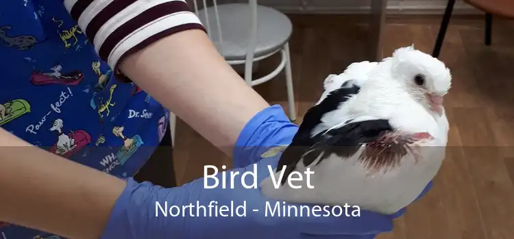 Bird Vet Northfield - Minnesota